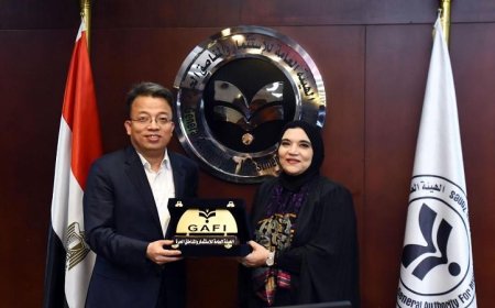 وفد مكون من 16 شركة صينية كبرى يزور مصر قريبًا لاستكشاف فرص استثمارية جديدة