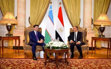 وزير الخارجية يبحث علاقات التعاون مع وزير خارجية أوزبكستان في جلسة مباحثات موسعة