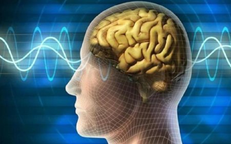 دراسة جديدة تكشف طرق فعالة لحماية الدماغ من أعراض ألزهايمر المبكرة