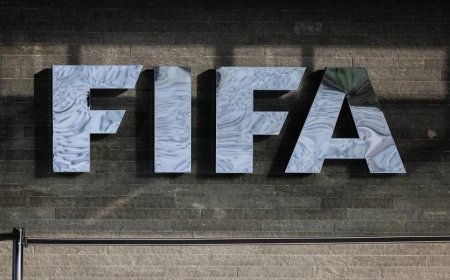 فيفا يستثمر في البطاقات الصفراء والحمراء ويحقق ملايين الدولارات
