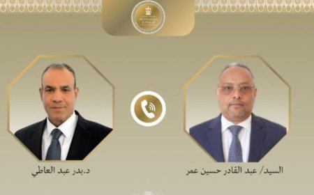 وزير الخارجية يناقش مع نظيره الجيبوتي مستجدات الأوضاع في القرن الأفريقي