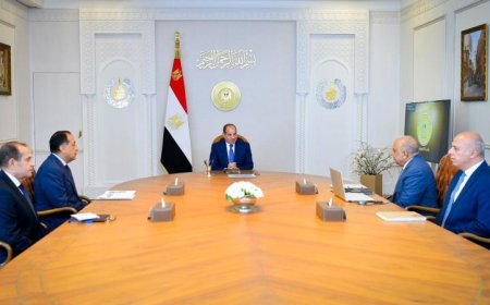 الرئيس السيسى يؤكد أهمية المتابعة المستمرة لمشروعات الطاقة المتجددة لتحقيق التنمية المستدامة