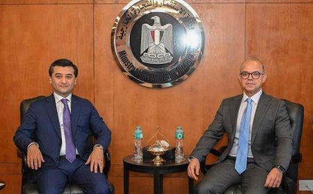 وزير الاستثمار ووزير خارجية أوزبكستان يناقشان سبل تعزيز التعاون الاستثماري والتجاري