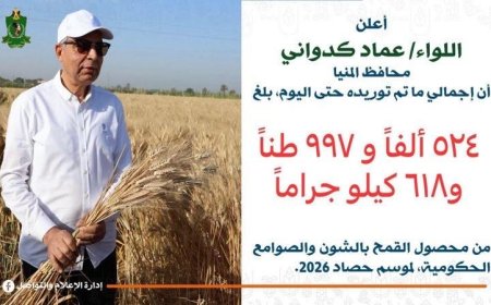 محافظ المنيا يكشف توريد 524 ألف طن من القمح خلال موسم الحصاد 2026