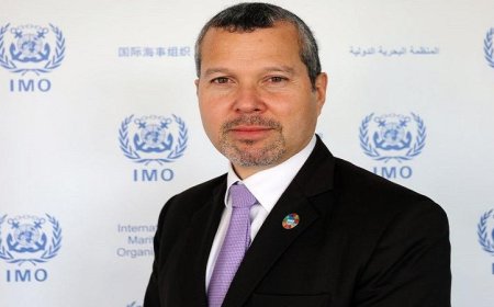 المنظمة البحرية الدولية تؤكد أهمية حماية البحارة من المخاطر في مضيق هرمز