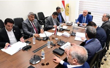مشروع القطار الكهربائي السريع: تحول تنموي بارز في جهود تحسين النقل في مصر