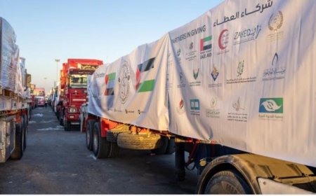 42 شاحنة مساعدات إماراتية تحمل 544 طنا تعبر معبر رفح إلى غزة