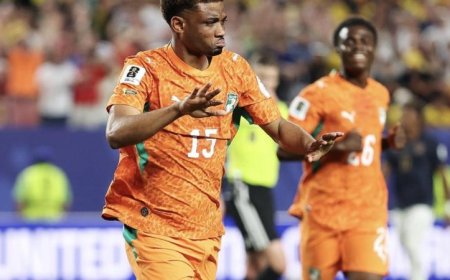 كوت ديفوار تحقق فوزاً قاتلاً على الإكوادور 1-0 في منافسات كأس العالم