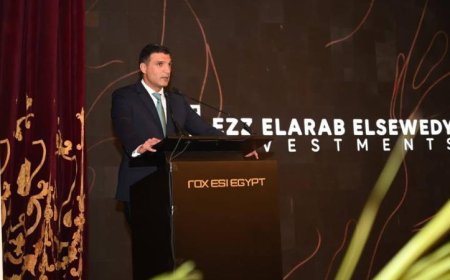 وزير الصناعة يطلق مشروع روكس مصر لبدء إنتاج السيارات الكهربائية بالصور