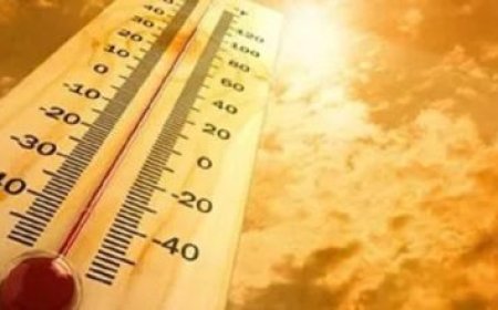 سلامة الغذاء تكثف حملات التفتيش على المراكب العائمة والمطاعم السياحية في الجيزة