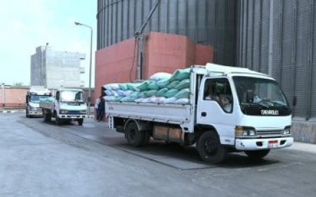 محافظ القاهرة يشارك في احتفالية الأوقاف بمناسبة العام الهجري الجديد في مسجد السيدة زينب