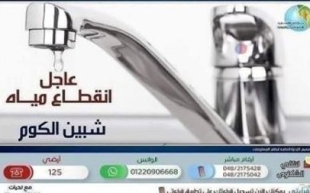 محافظ القليوبية يسلم تروسيكل وماكينة خياطة للمواطنين استجابة لطلباتهم