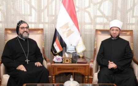 زيادة التنسيق بين مصر وأوروبا لتناول القضايا الإقليمية حسب تأكيد وزير الخارجية