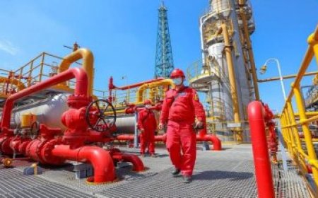 التعديلات الجديدة على قانون الضريبة القيمة المضافة تعزز تجارة الترانزيت في البلاد