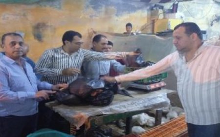 محافظ الغربية يتواصل مع المواطنين في المركز التكنولوجي بالسنطة ويستعرض ملفات التصالح