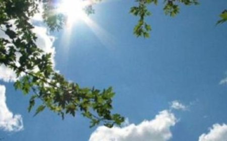 وزير الأوقاف يؤكد على رسالة الأمان والعمران والتحصين من التطرف لملياري مسلم في العالم