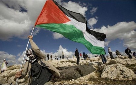 تقرير لجنة التحقيق الدولية يكشف حقيقة الاحتلال بحسب الخارجية الفلسطينية
