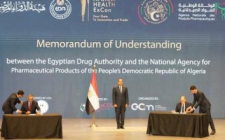 وزيرة التنمية المحلية تسلط الضوء على أهمية استغلال الميزات النسبية والتنافسية للمحافظات لتعزيز التنمية الاقتصادية