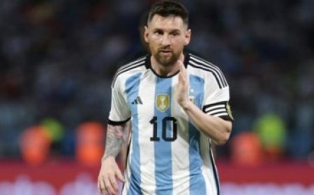 البطة ميرلين تقتحم عالم النجومية من شوارع مكسيكو سيتي إلى قمة كأس العالم