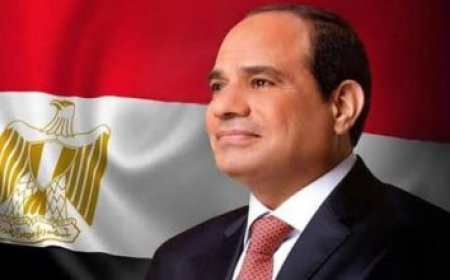 الرئيس السيسي يلتقي رئيس البرازيل ويؤكد عمق العلاقات الاستراتيجية بين مصر والبرازيل