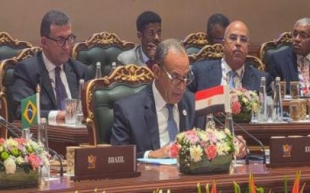 جوهر نبيل يبحث مع خالد العناني مدير عام اليونسكو سبل تعزيز التعاون المشترك