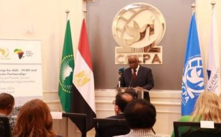 الرئيس السيسي يعود إلى مصر بعد نجاح زيارته الرسمية إلى فرنسا