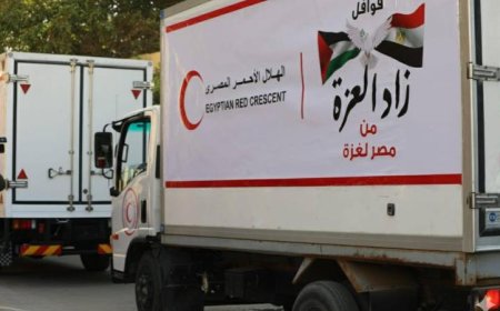 قافلة إنسانية جديدة رقم 216 تصل إلى الفلسطينيين في قطاع غزة لتعزيز الإغاثة