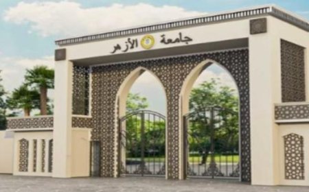 أربع جامعات مصرية تتألق ضمن أفضل 300 جامعة عالمية في تصنيف US News
