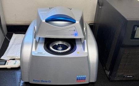 محافظ الغربية يعلن عن إطلاق أول وحدة PCR مجانية بمركز أورام طنطا لخدمة المرضى