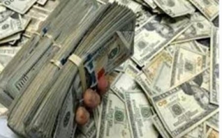 القبض على نصاب في الغربية يحتال على المستثمرين في البورصة