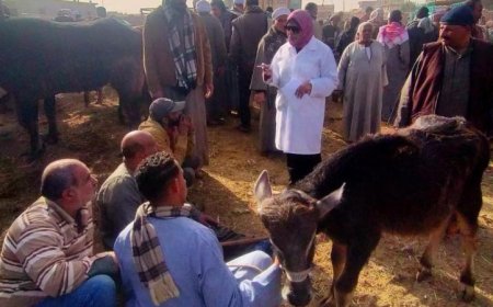 وزارة الزراعة تعزز نظام الإنذار المبكر لحماية الثروة الحيوانية والداجنة