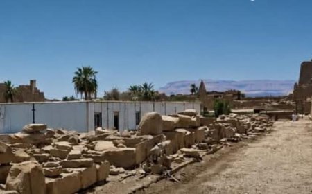 د عبد الرحيم ريحان يطلب من وزير السياحة نقل كافتيريا الكرنك لتحسين تجربة الزوار