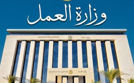 فرص عمل متميزة في الإسماعيلية وزارة العمل تعلن عن 85 وظيفة تشمل ذوي الهمم