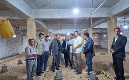 رئيس هيئة الإصلاح الزراعي يشرف على توزيع الأسمدة ويعزز المشروعات الإنتاجية