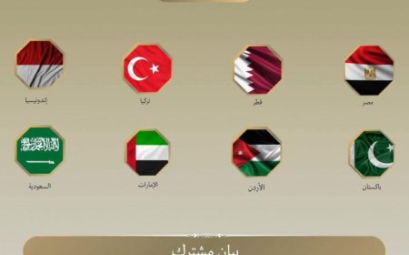 وزراء خارجية مصر والدول العربية يحذرون من تصاعد عنف المستوطنين ويدينونه بشدة