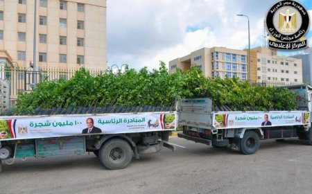 زراعة 200 ألف شجرة جديدة في المرحلة الرابعة لمبادرة 100 مليون شجرة