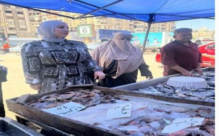 حملات مكبرة في الدقهلية تسفر عن ضبط 288 مخالفة متنوعة