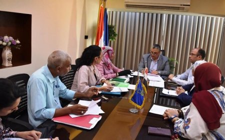 محافظ أسوان يدعو لوضع خطة فعالة لتعزيز دور المجلس الاقتصادي والاجتماعي