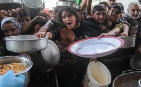 الأمم المتحدة تحذر من تفاقم معاناة سكان غزة بسبب الاكتظاظ والتلوث والأمراض ونقص المياه