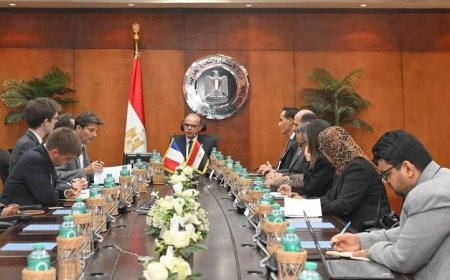 وزير الاستثمار يؤكد حرص مصر على جذب استثمارات فرنسية نوعية لتعزيز الاقتصاد الوطني