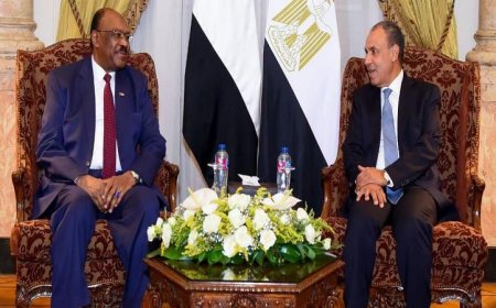 وزير الخارجية المصري ي reaffirm موقف مصر الثابت في دعم وحدة السودان وسيادته وسلامة أراضيه