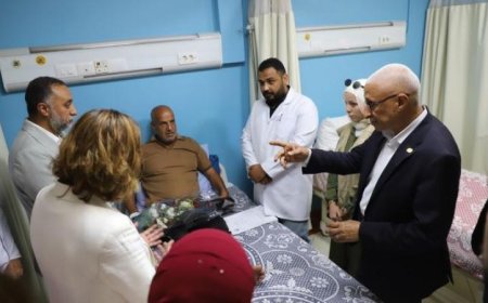 أعضاء لجنة الشؤون الخارجية في مجلس النواب الهولندي يزورون مستشفى العريش العام لتقييم أوضاعه