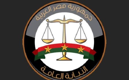 النيابة العامة ترفع دعوى قضائية ضد متهمة لنشر أخبار زائفة عن مستشفيات جامعة الإسكندرية