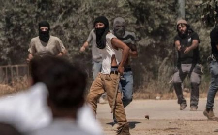 مستوطنون يشنون هجمات على ترمسعيا وسنجل في شمال شرق رام الله