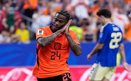 هولندا تكتسح السويد بفوز مدوٍ 5-1 في المجموعة السادسة من كأس العالم