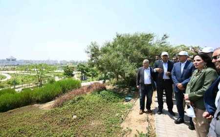 مدبولي يكشف عن مشروع حدائق تلال الفسطاط الذي يعكس رؤية الدولة لإحياء المناطق التاريخية