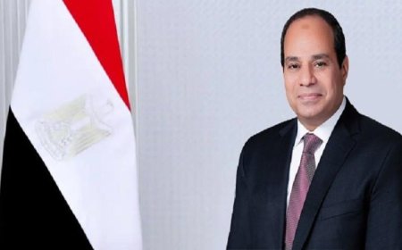 الرئيس السيسي يعبر عن دعم مصر لترشيح نبيل فهمي كأمين عام لجامعة الدول العربية