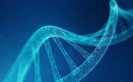اختبار DNA مبتكر يكشف عن أمراض وراثية نادرة لا تستطيع التقنيات التقليدية رصدها