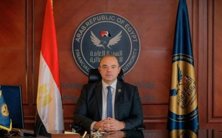 وزير الاستثمار يكشف عن شراكة اقتصادية متكاملة بين مصر وجنوب إفريقيا لتعزيز التعاون التجاري