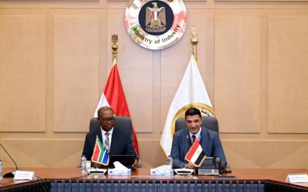 وزير الصناعة يشدد على أهمية تعزيز التكامل الصناعي مع جنوب إفريقيا لزيادة تنافسية الدولتين